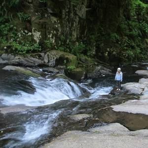 Meet your Posher, Sophie